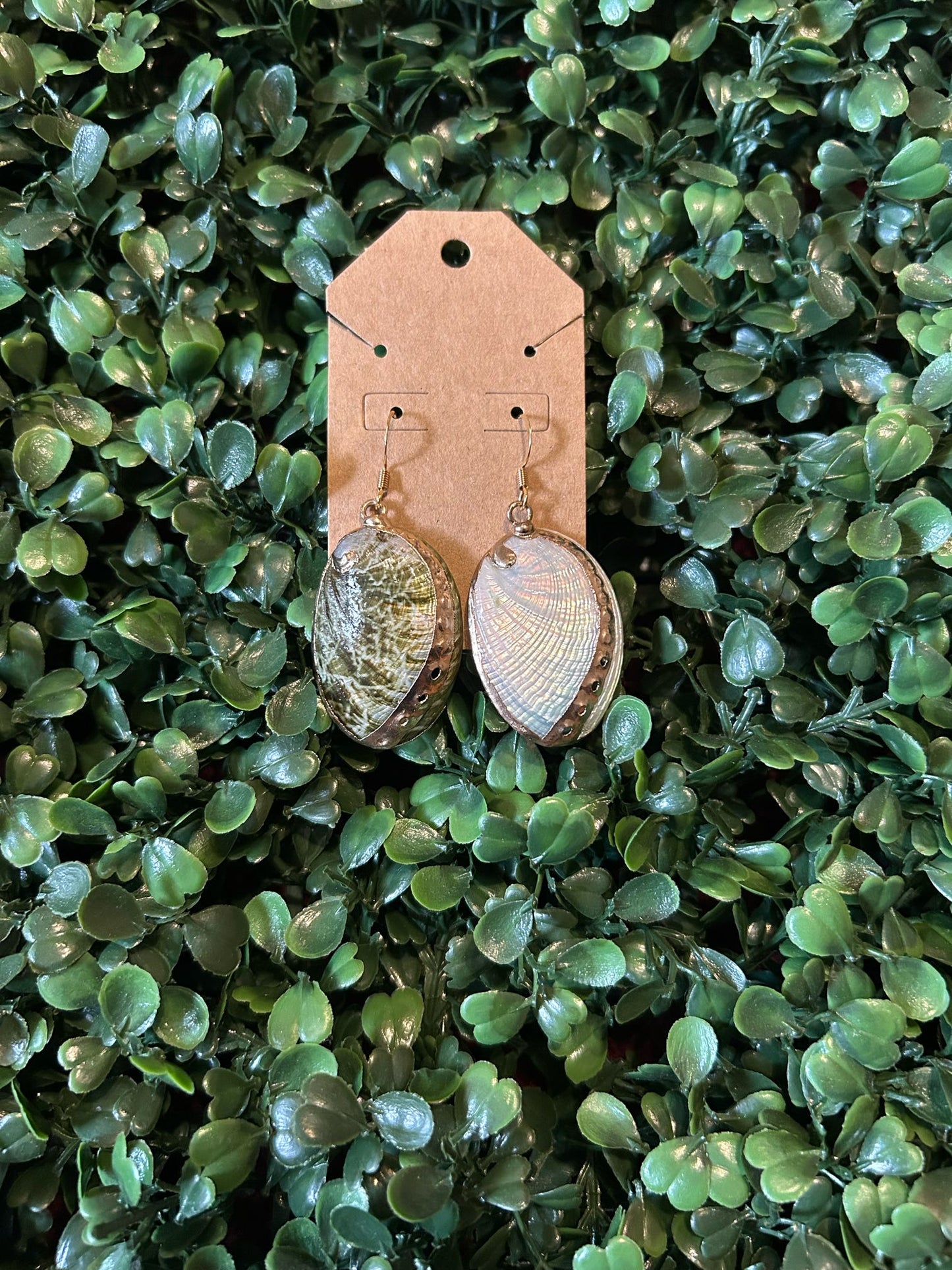 Shell Earrings