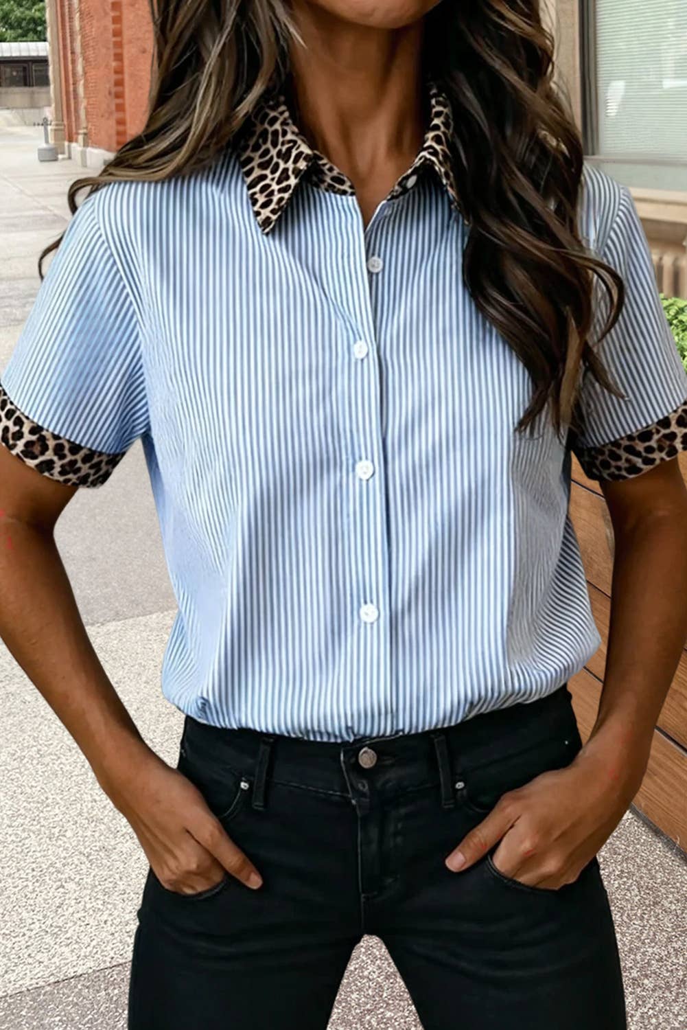 Stripe Leopard Contrast Trim Blouse