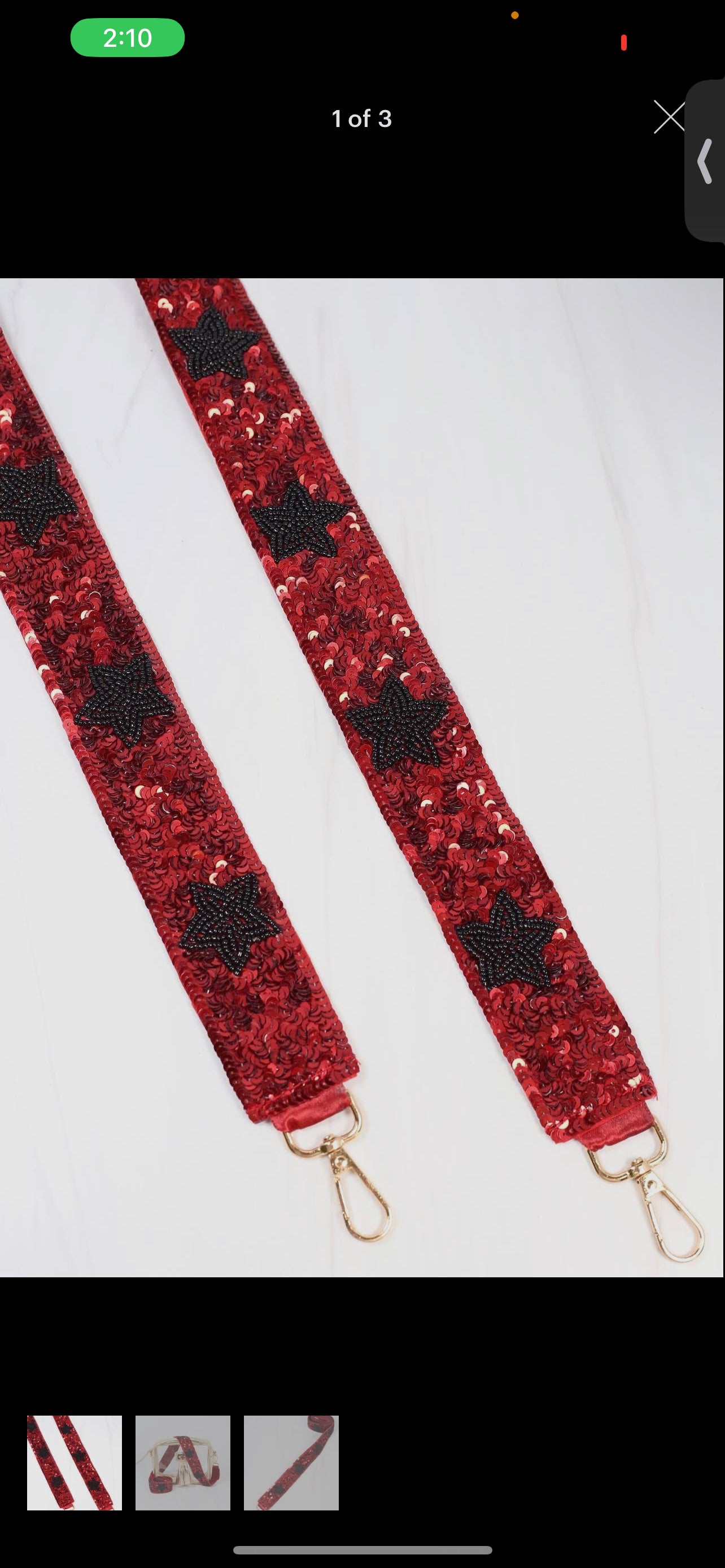 Beaded Purse Strap